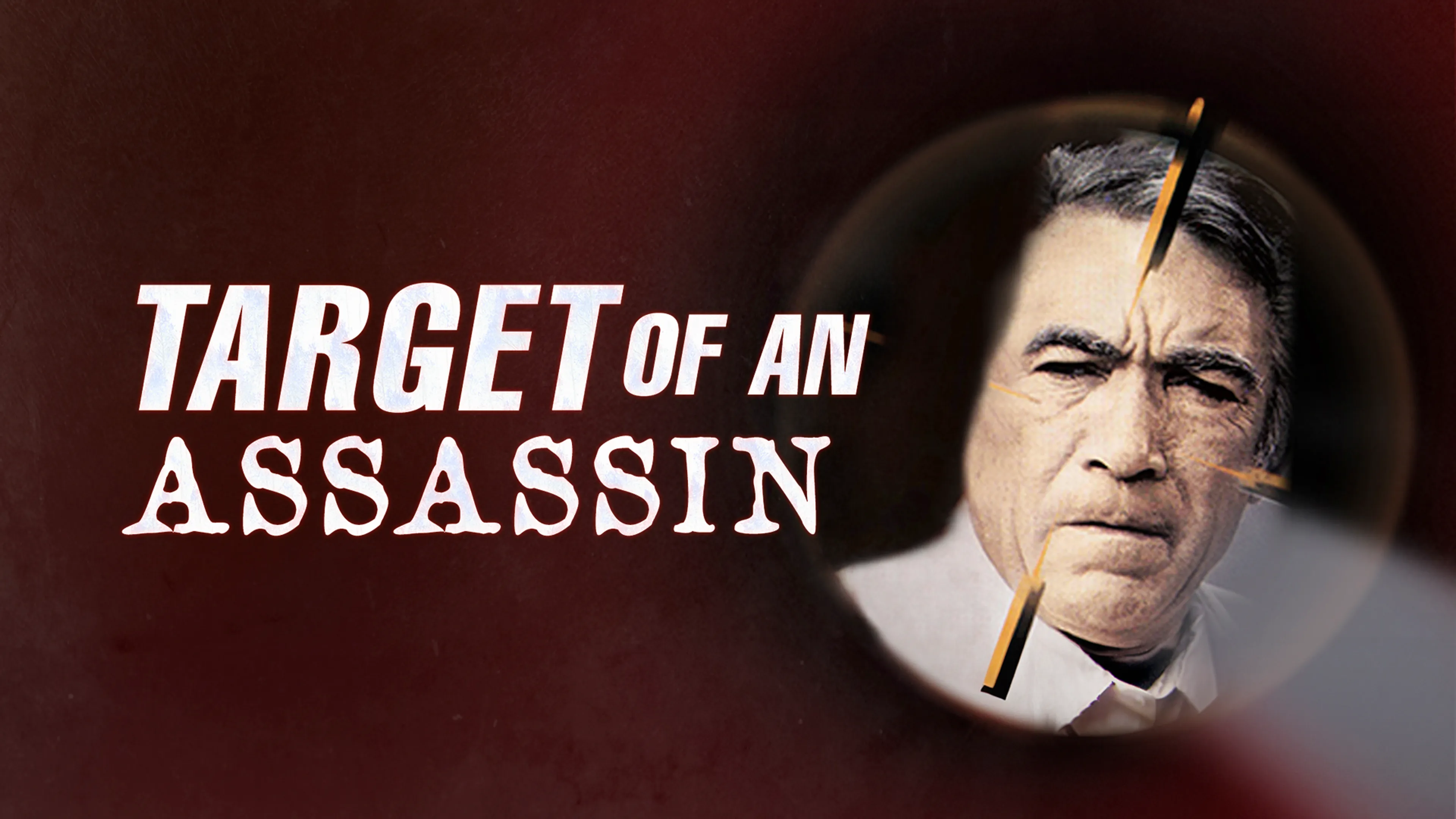 Target of an Assassin poster
